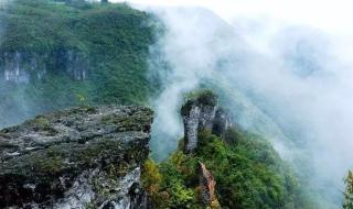 仙女山旅游